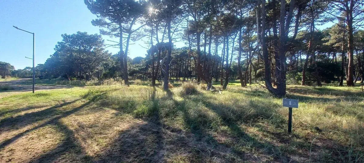 Excelente Lote - Barrio Bosques, Pinamar 5