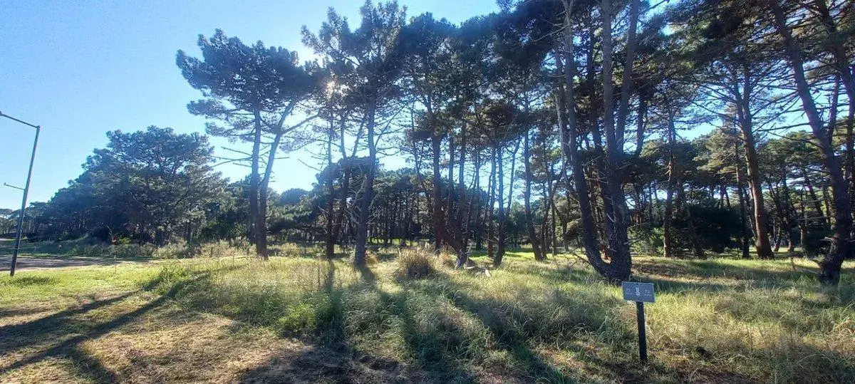 Excelente Lote - Barrio Bosques, Pinamar 3