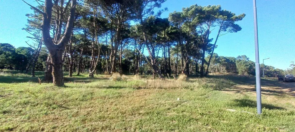 Excelente Lote - Barrio Bosques, Pinamar 2