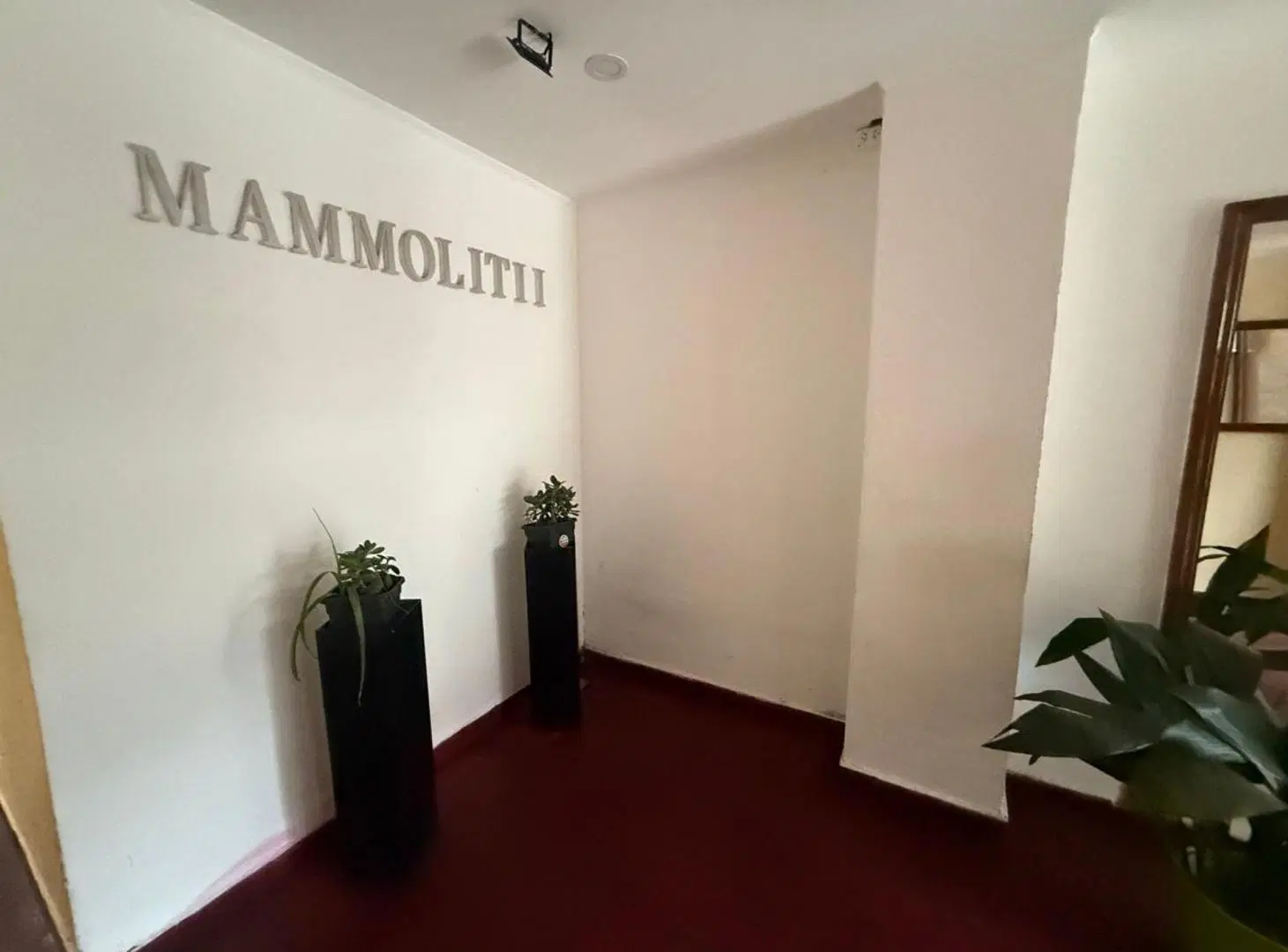 VENTA DEPARTAMENTO 2 AMBIENTES GAS NATURAL CENTRO 2