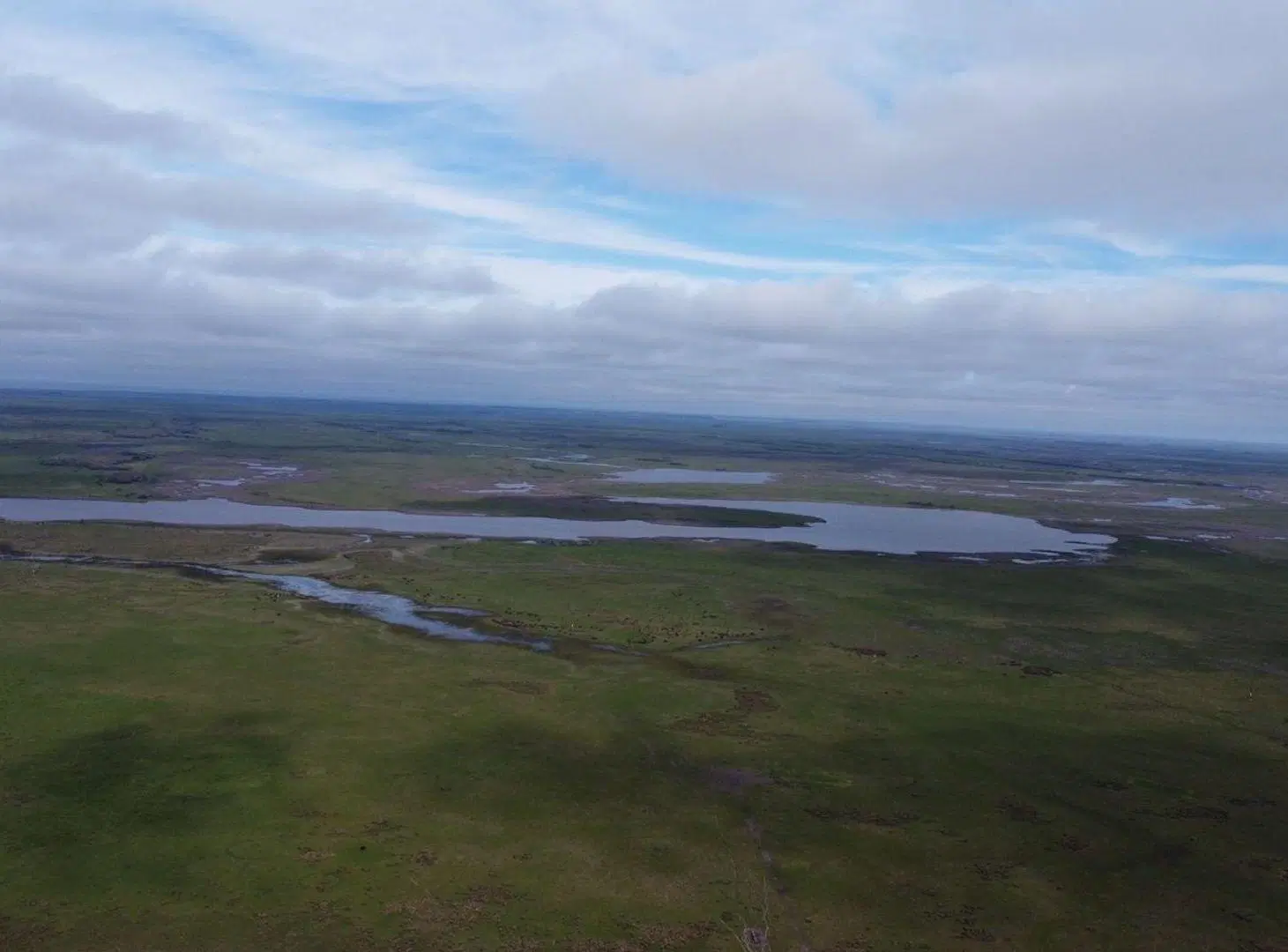 Campo Venta Gral. Lavalle 249 ha.- Sobre Asfalto 4