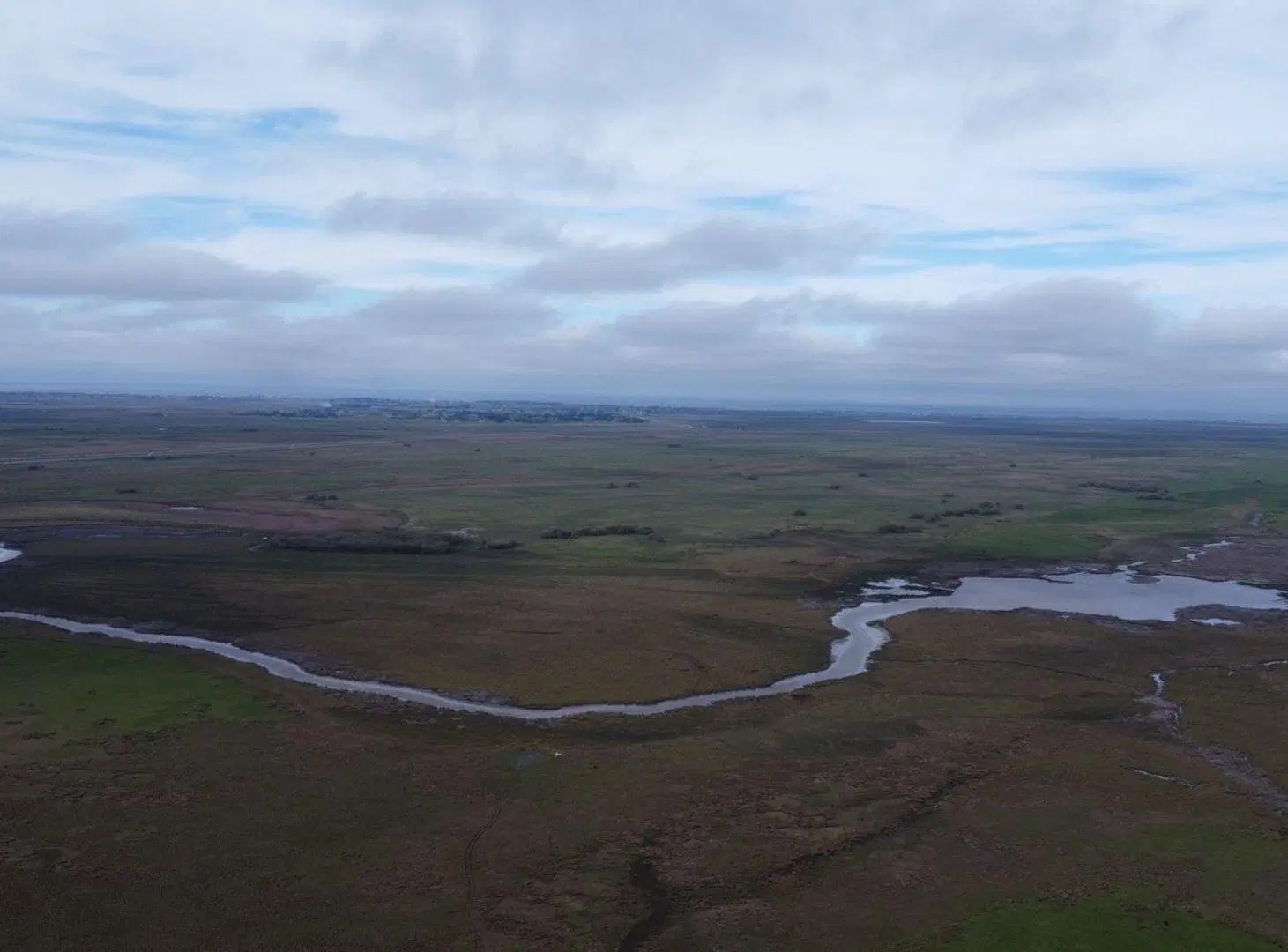 Campo Venta Gral. Lavalle 249 ha.- Sobre Asfalto 2
