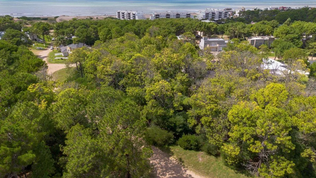 VENTA LOTE PINAMAR NORTE 4