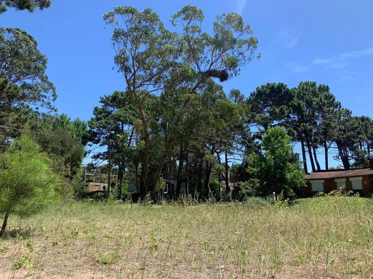 LOTE EN VENTA  DE 500M2 EN VALERIA DEL MAR 4
