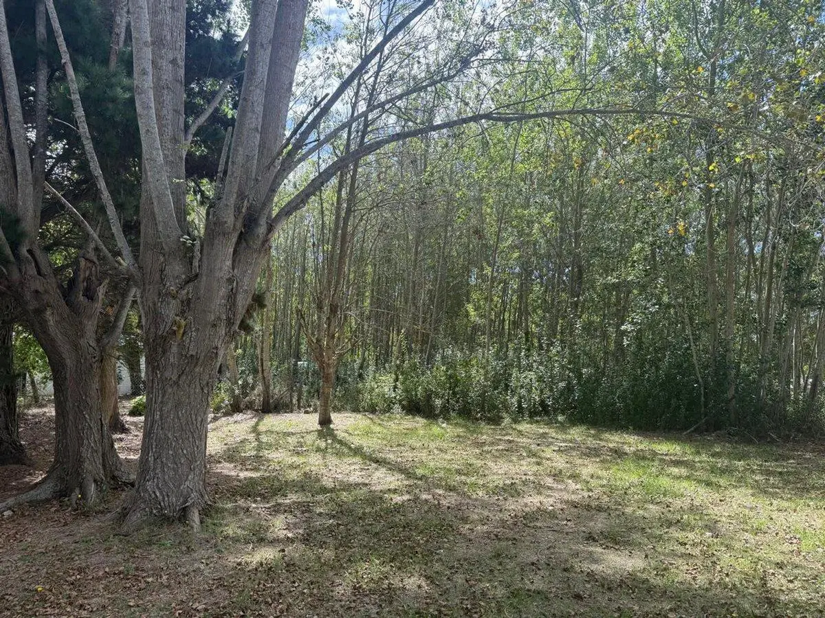 Terreno Aguas Verdes 5