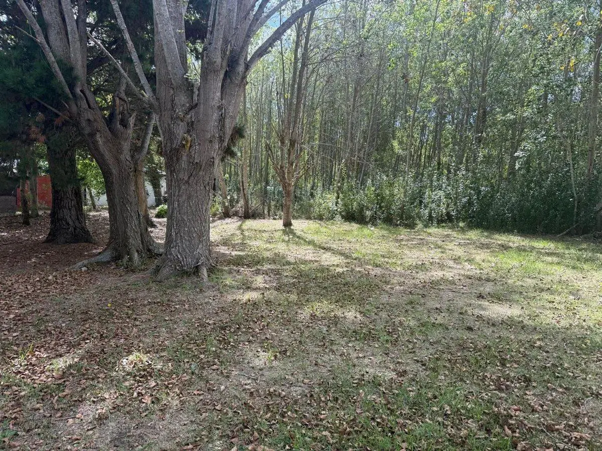 Terreno Aguas Verdes 3