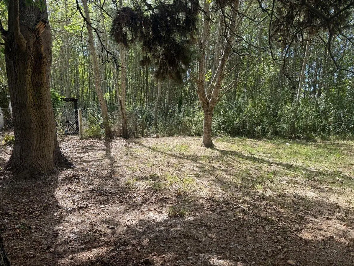 Terreno Aguas Verdes 2