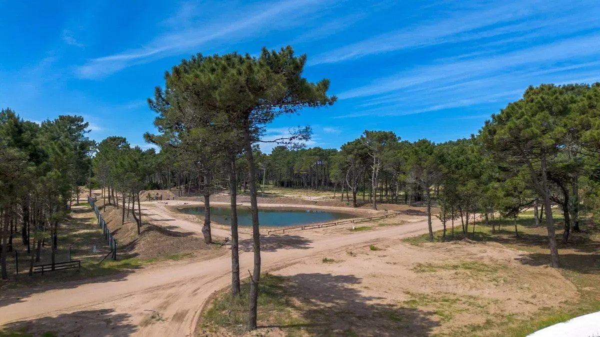 VENTA LOTE BARRIO BOSQUES PINAMAR ETAPA 1 4