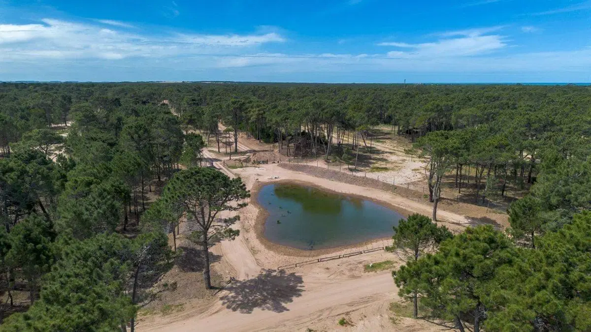 VENTA LOTE BARRIO BOSQUES PINAMAR ETAPA 1 3