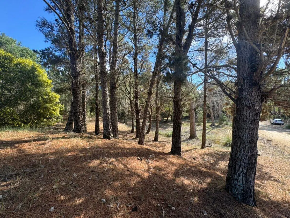 Lote Terreno Venta VillaRobles Serena FINANCIACION 3