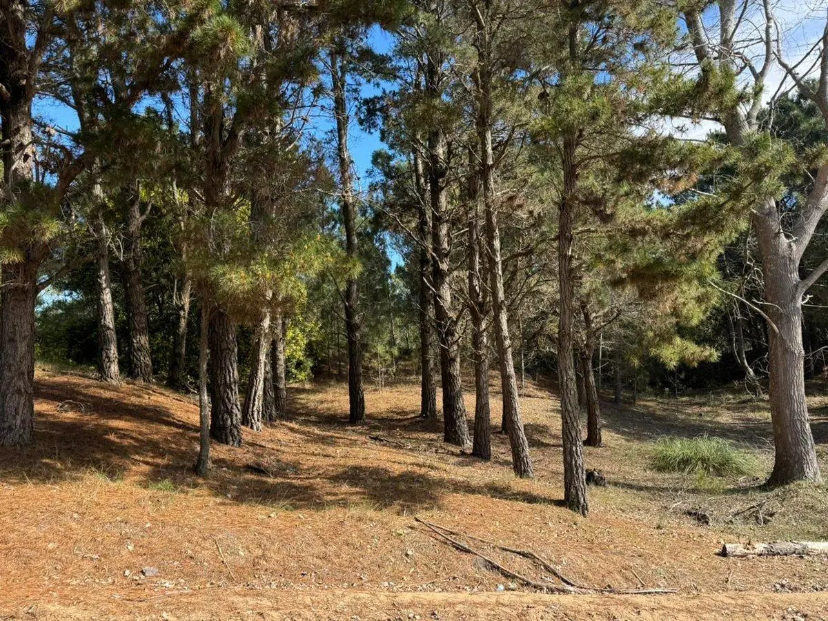 Lote Terreno Venta VillaRobles Serena FINANCIACION 2