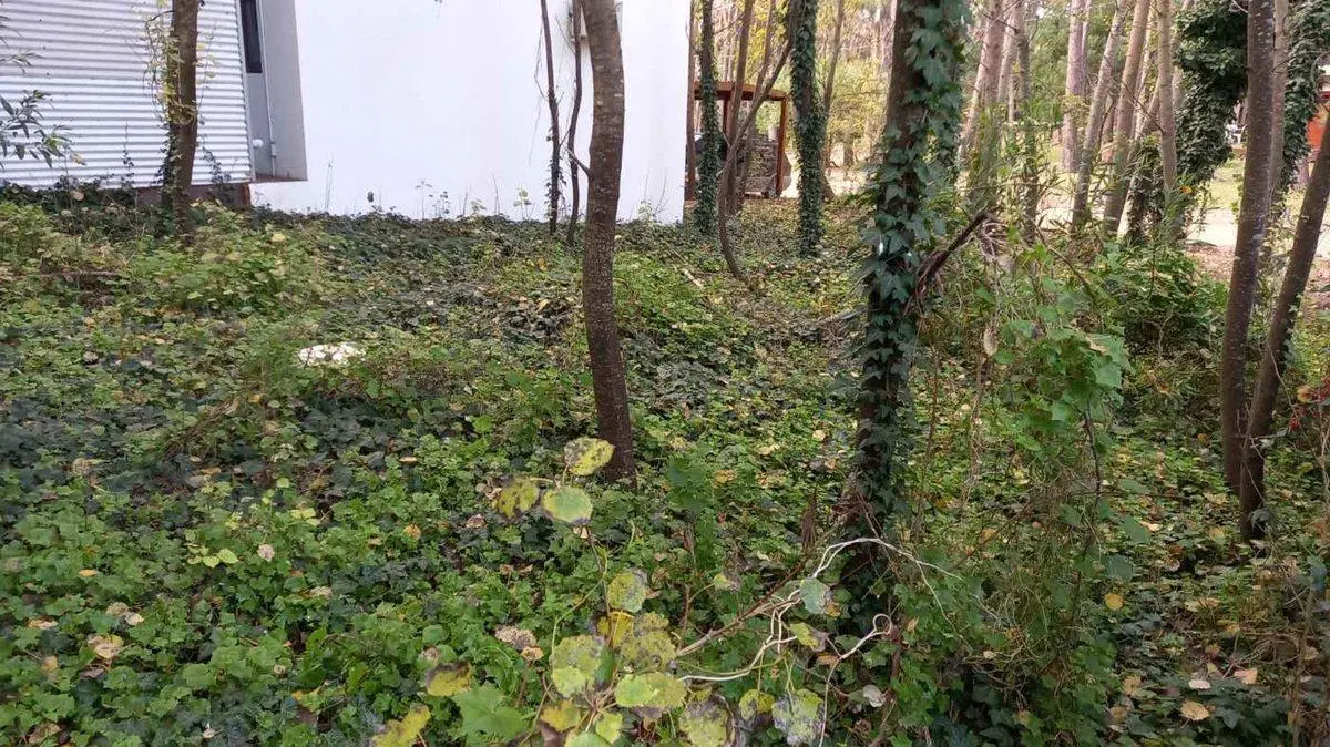 LOTE COMERCIAL en VENTA en MAR AZUL 5