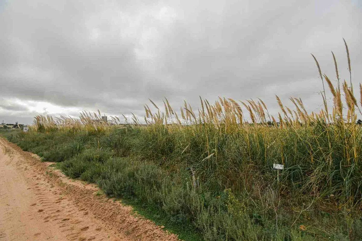 VENTA LOTE EL SALVAJE CHACRAS MARITIMAS 2500M2 4