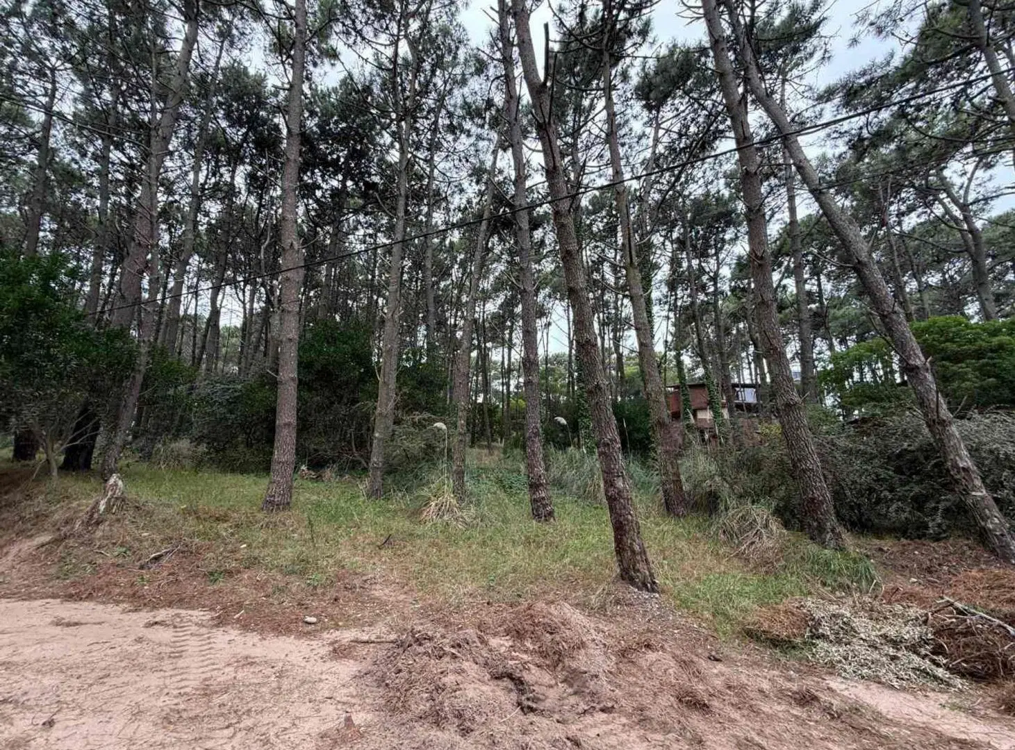 Venta lote Multifamiliar en Mar de las Pampas 4