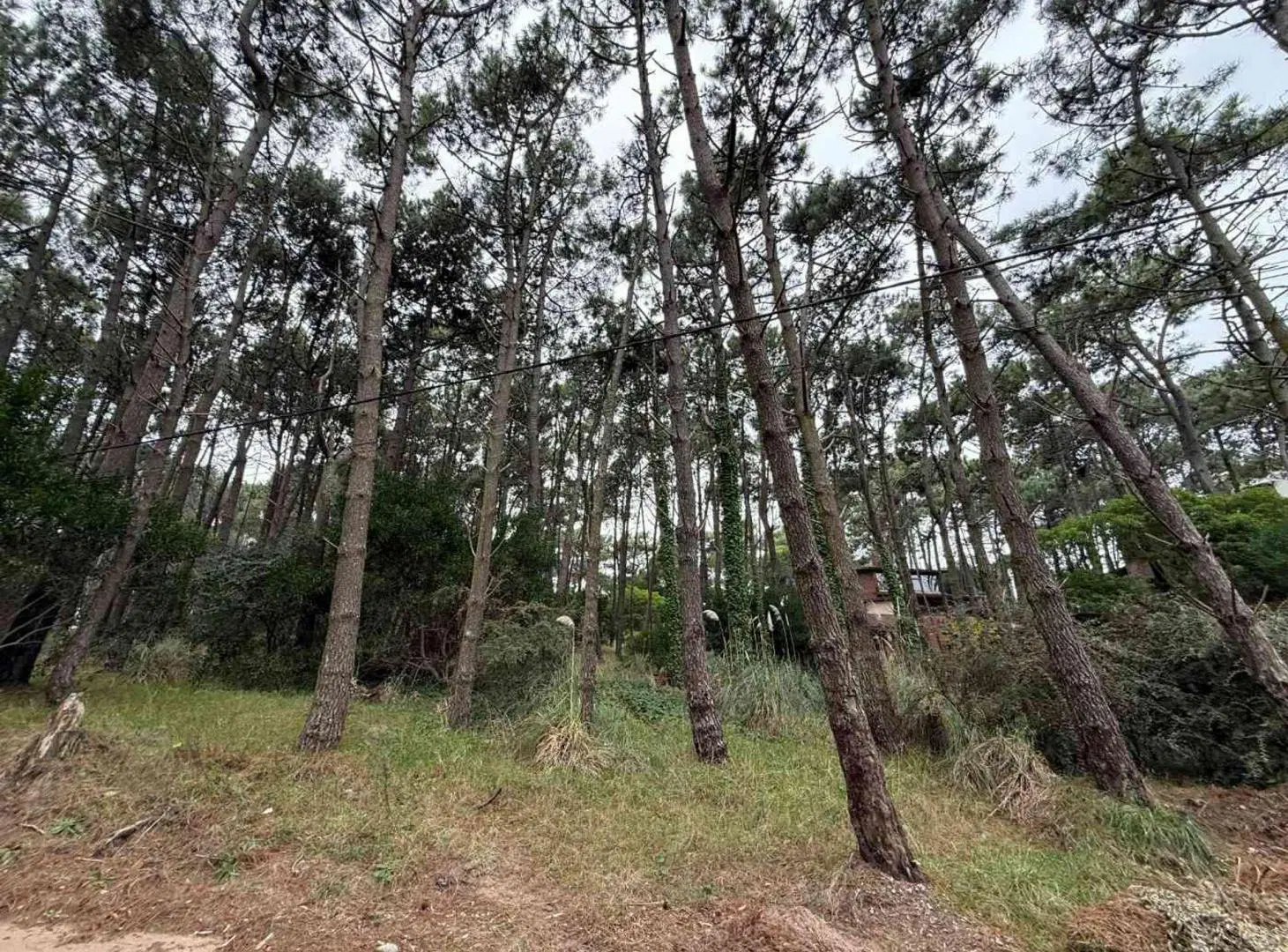 Venta lote Multifamiliar en Mar de las Pampas 2