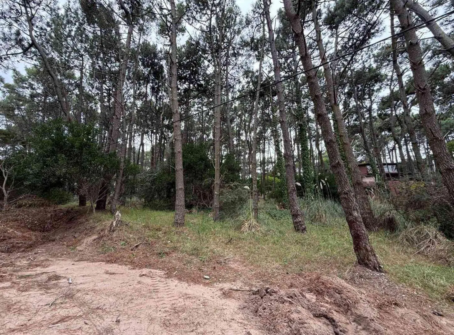 Venta lote Multifamiliar en Mar de las Pampas 3