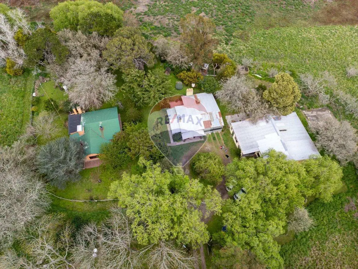 Venta Quinta Gral Madariaga, idel para apicultores 2