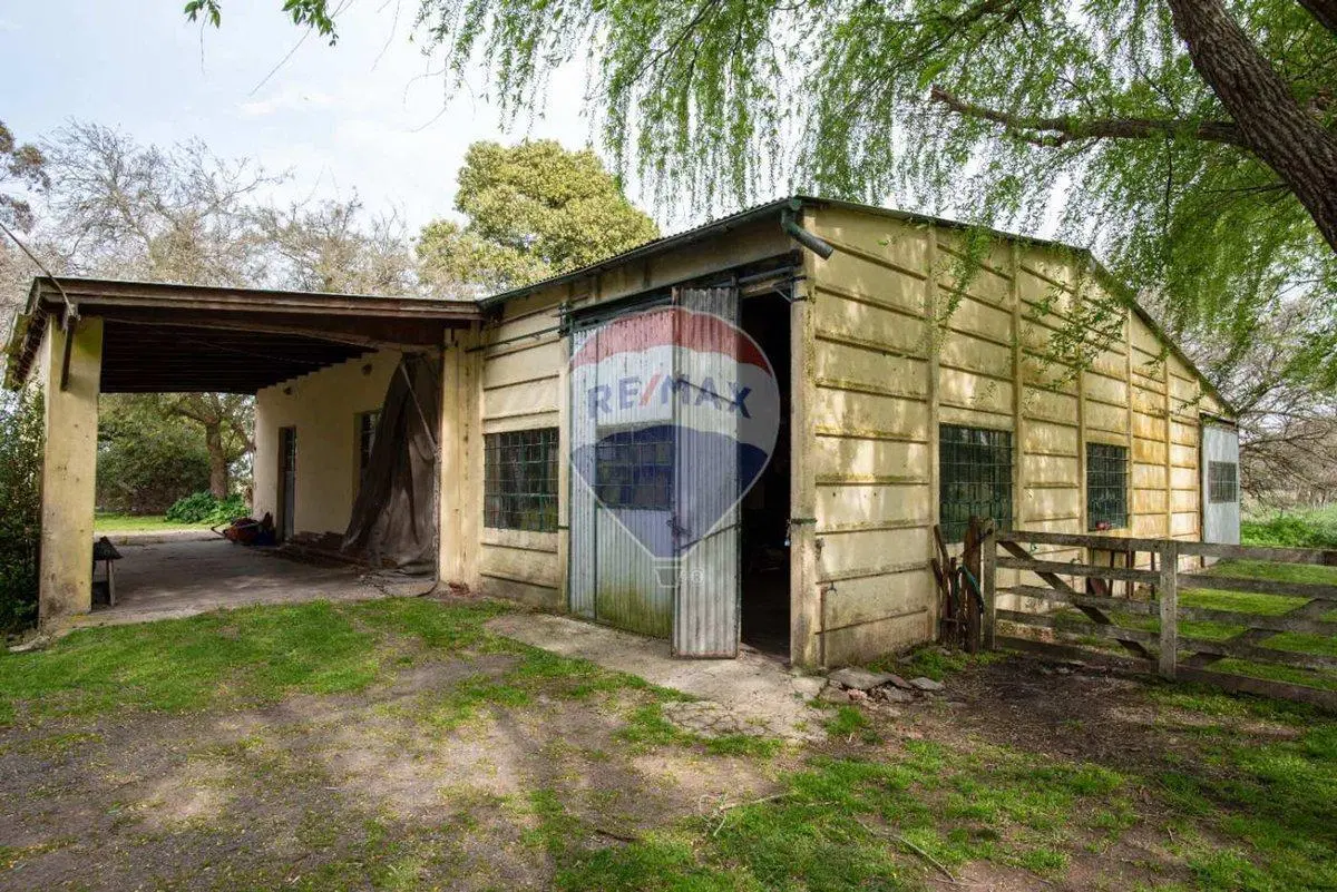 Venta Quinta Gral Madariaga, idel para apicultores 5