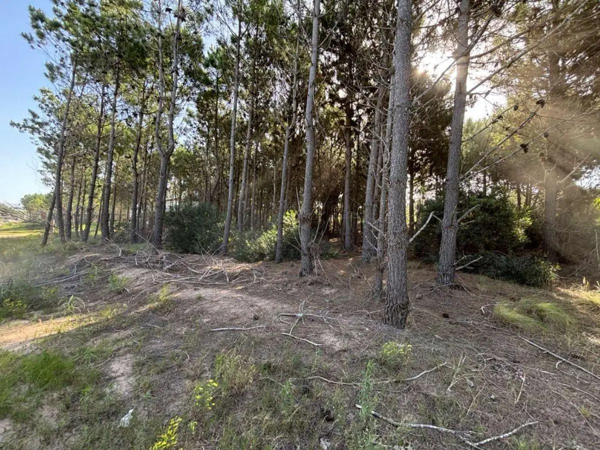 VENTA LOTE COSTA ESMERALDA 200 METROS DEL MAR 4