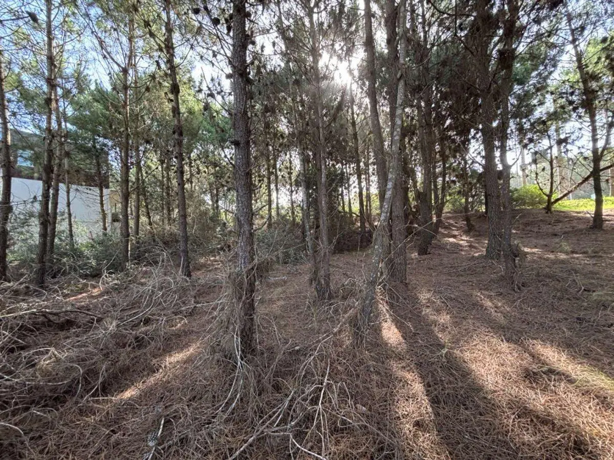 VENTA LOTE COSTA ESMERALDA 200 METROS DEL MAR 5