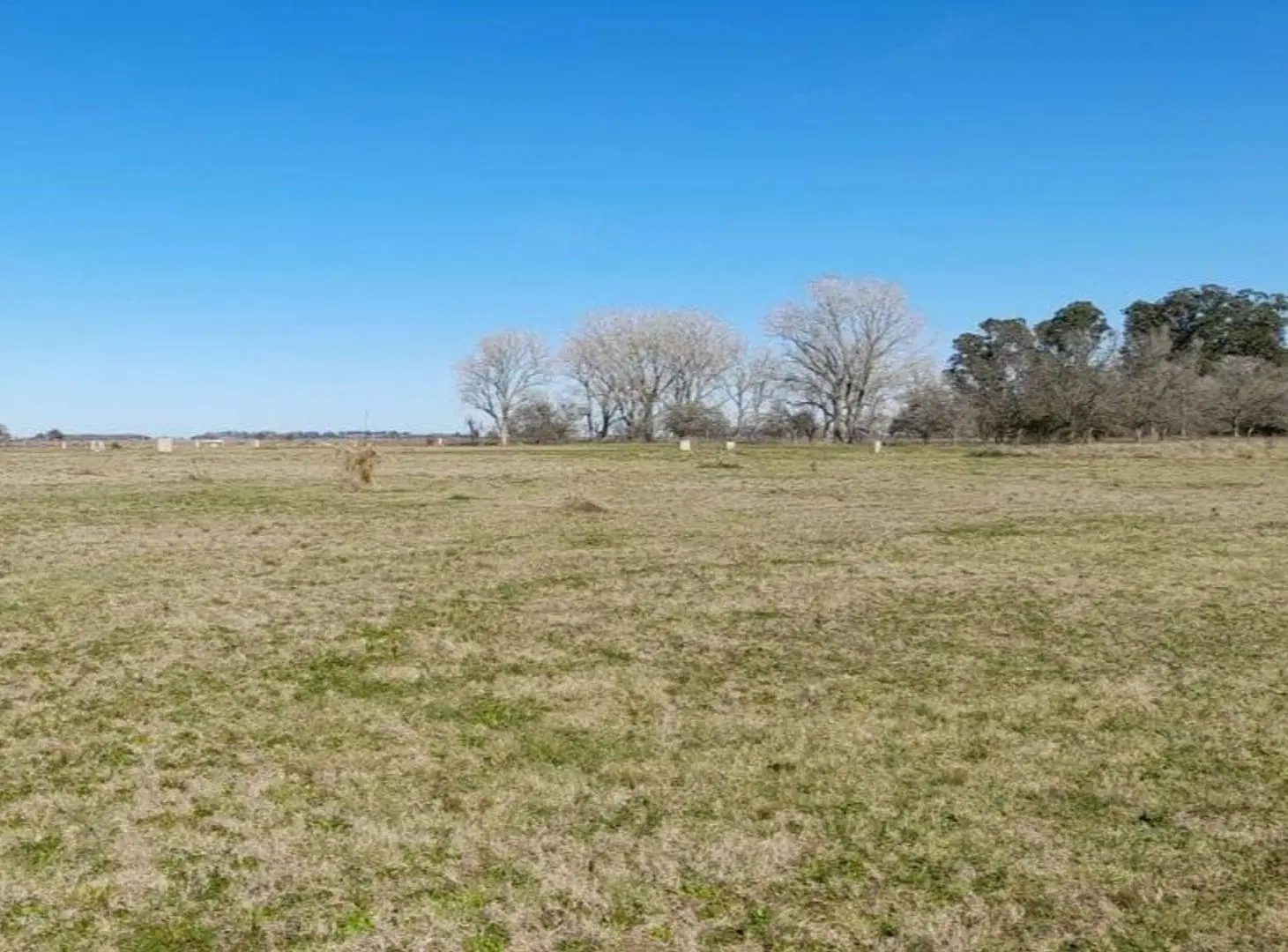 TERRENO EN VENTA EN MADARIAGA 2