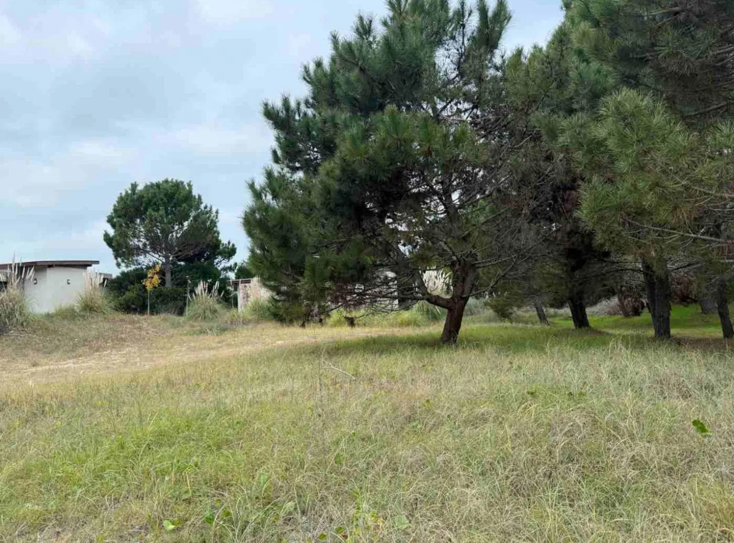 LOTE EN OPORTUNIDAD EN LAS GAVIOTAS 3