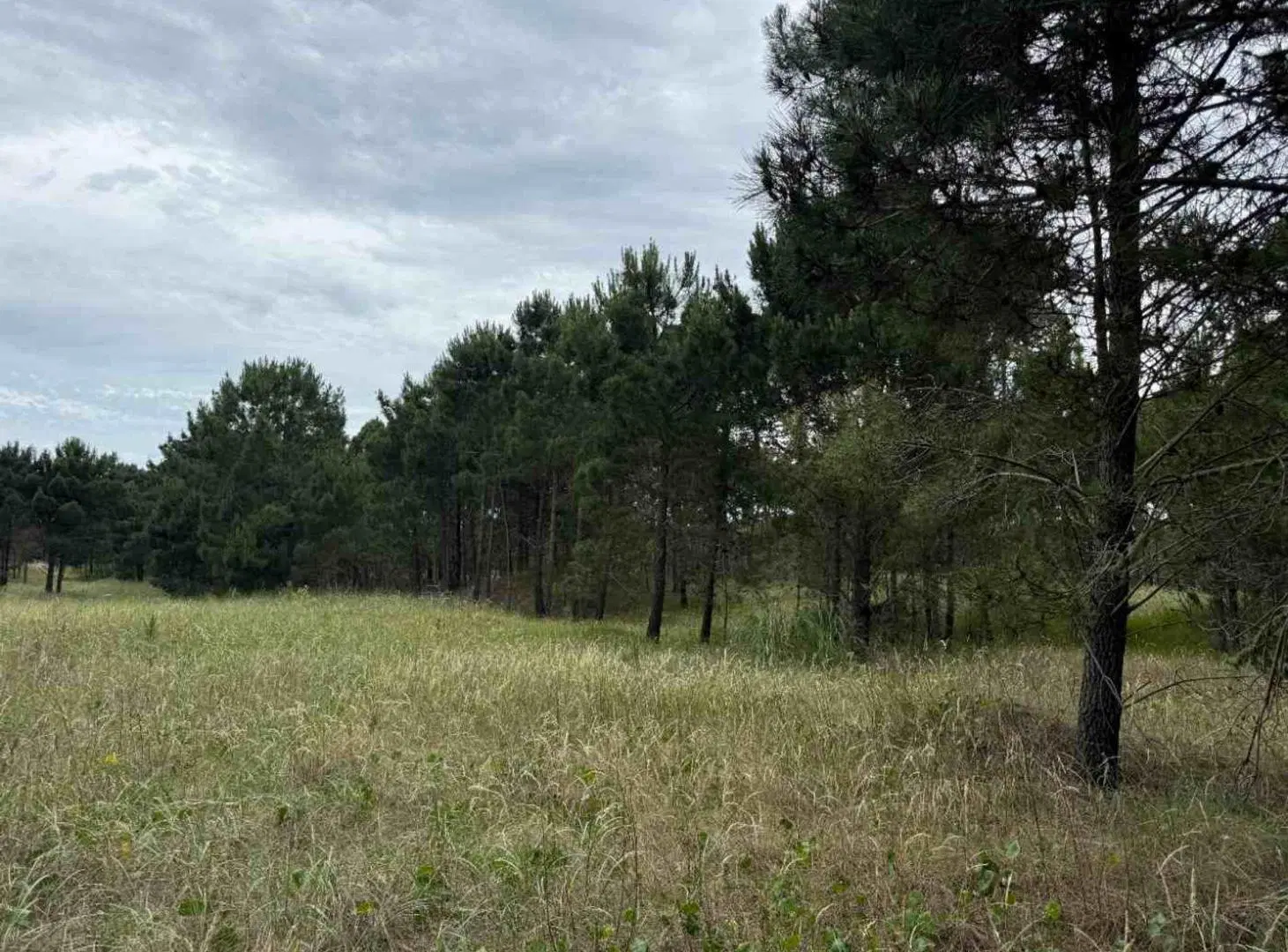 Lote en Venta en Barrio Bosques PINAMAR NORTE 5