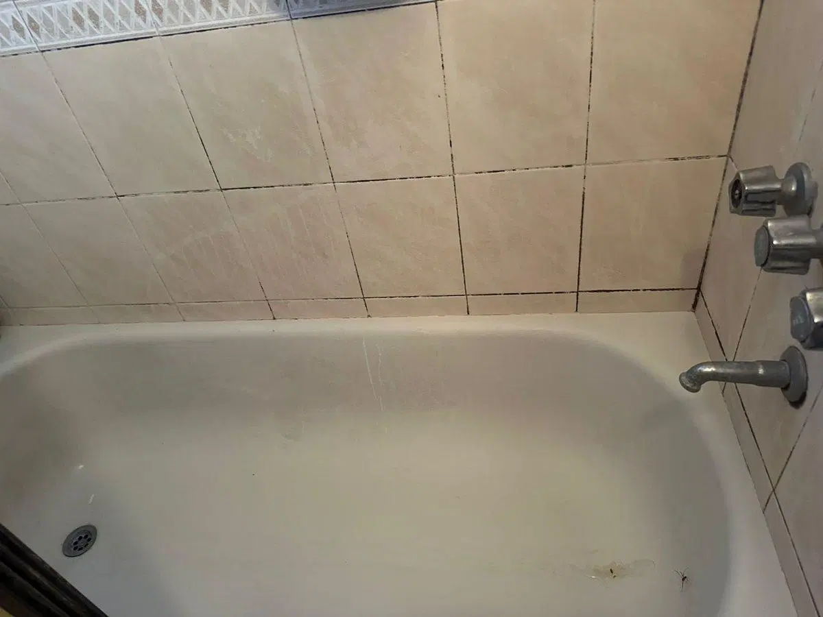 CASA 5 AMBIENTES VENTA LA LUCILA 2