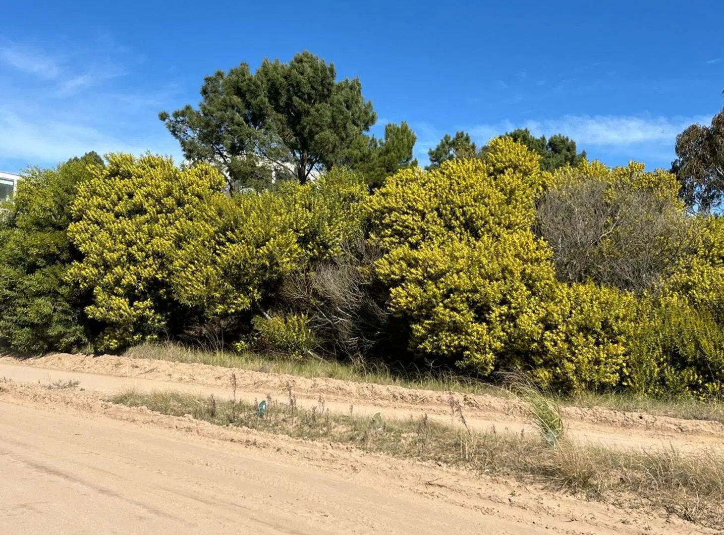 LOTE EN VENTA COSTA ESMERALDA SECTOR ECUESTRE 5
