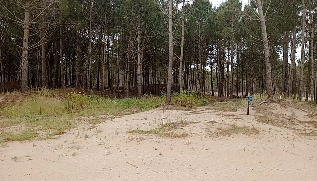 PINAMAR VENTA LOTE BARRIO BOSQUES ETAPA 3 4