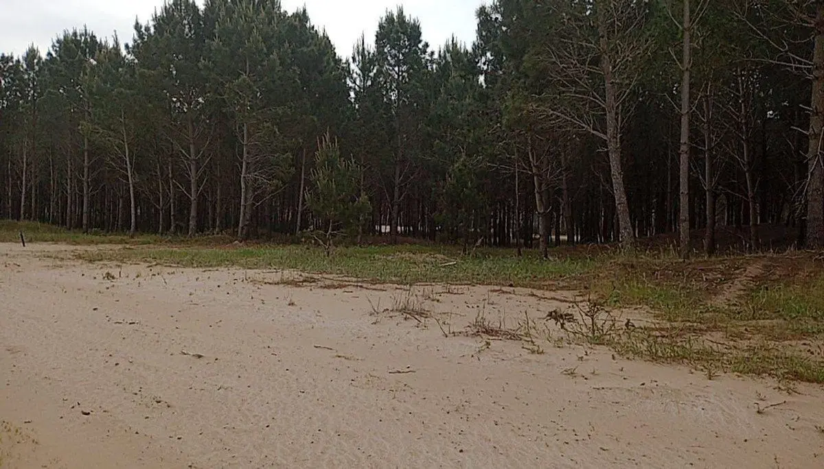 PINAMAR VENTA LOTE BARRIO BOSQUES ETAPA 3 2