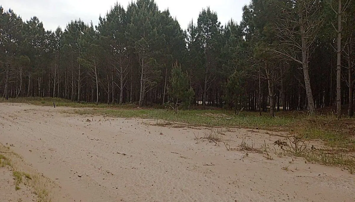 PINAMAR VENTA LOTE BARRIO BOSQUES ETAPA 3 3