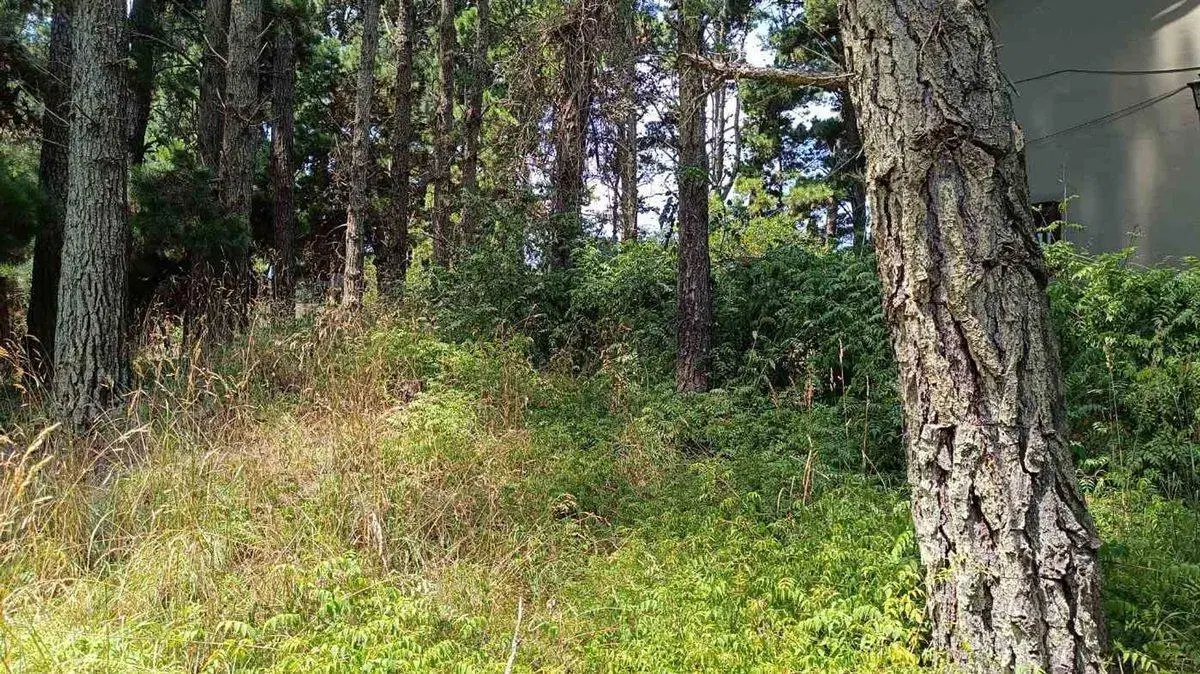 Venta Lote Mar Azul 5