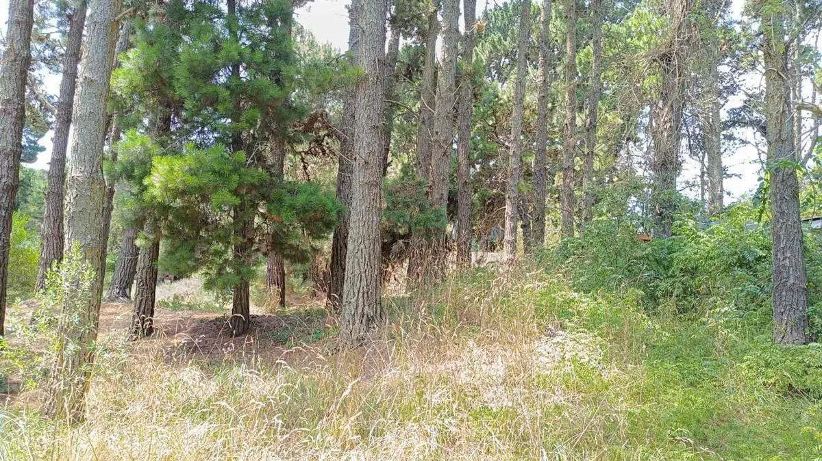 Venta Lote Mar Azul 2