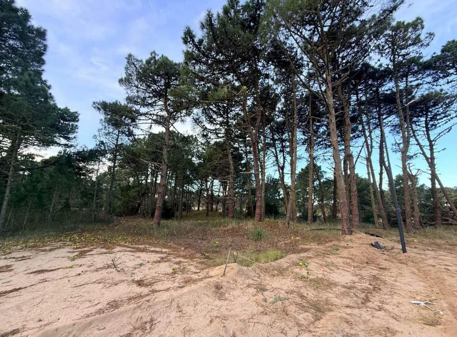 Lote en Venta en Barrio Bosques PINAMAR NORTE 5