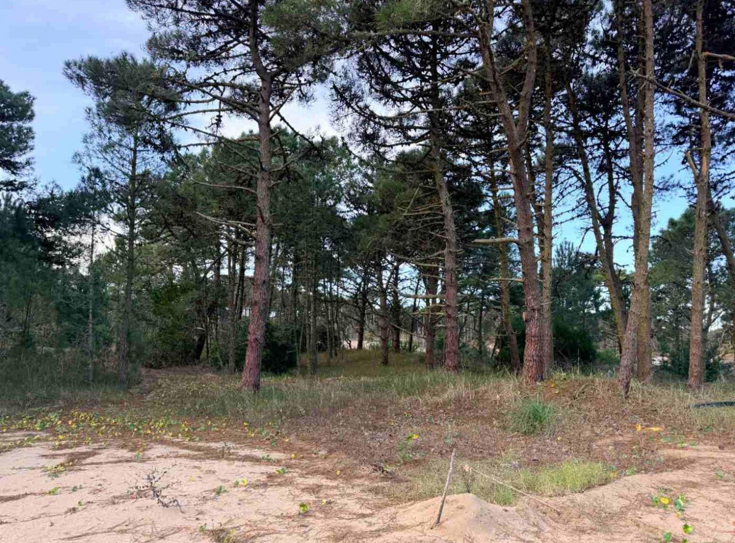 Lote en Venta en Barrio Bosques PINAMAR NORTE