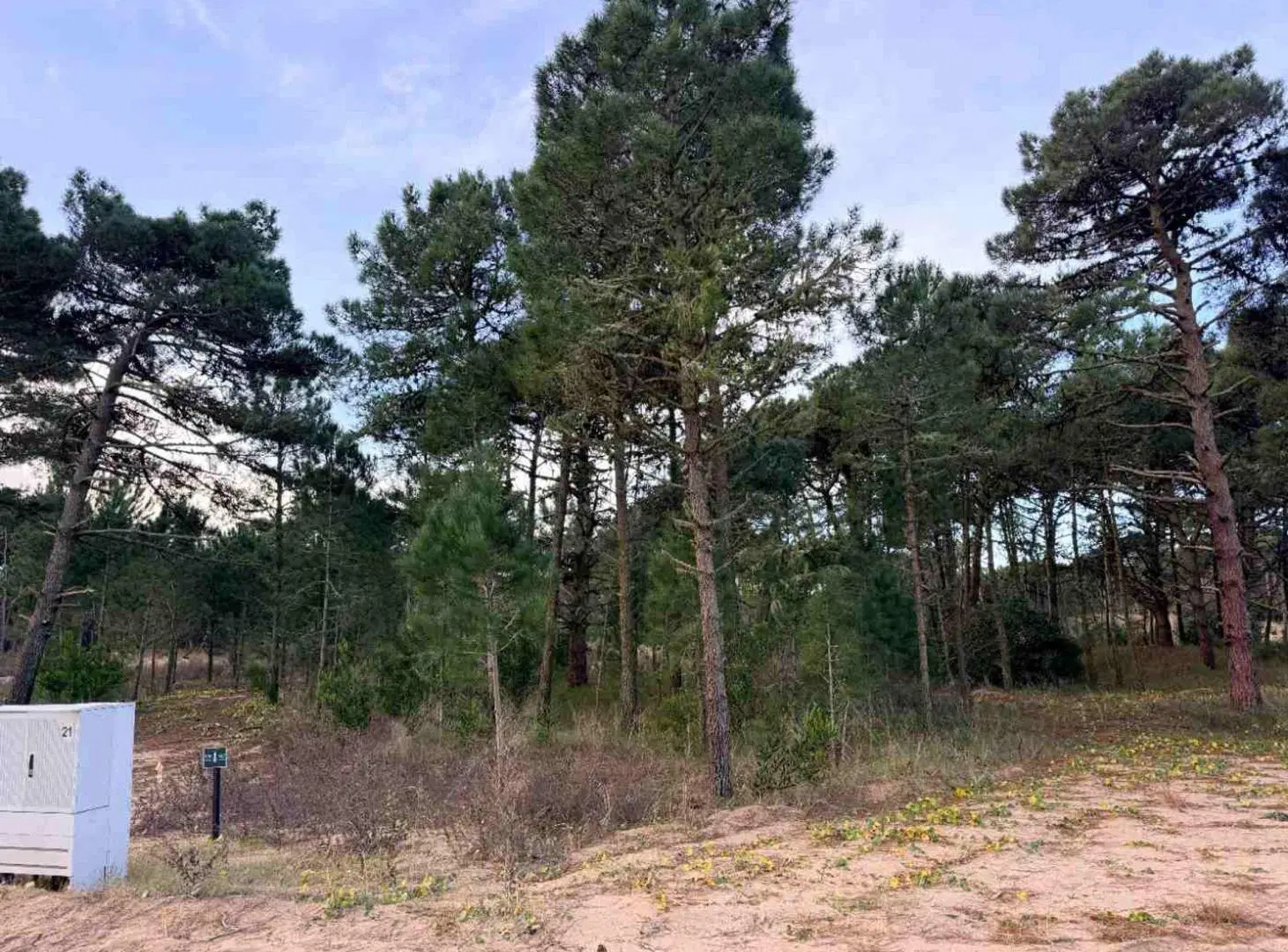 Lote en Venta en Barrio Bosques PINAMAR NORTE 3