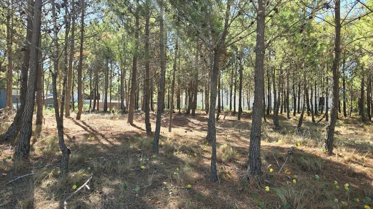 LOTE EN VENTA COSTA ESMERALDA MARITIMO IV 3