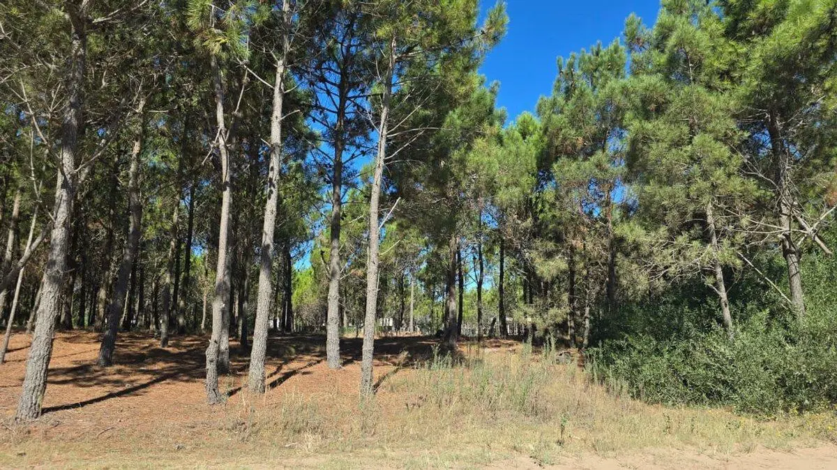 LOTE EN VENTA COSTA ESMERALDA MARITIMO IV 4