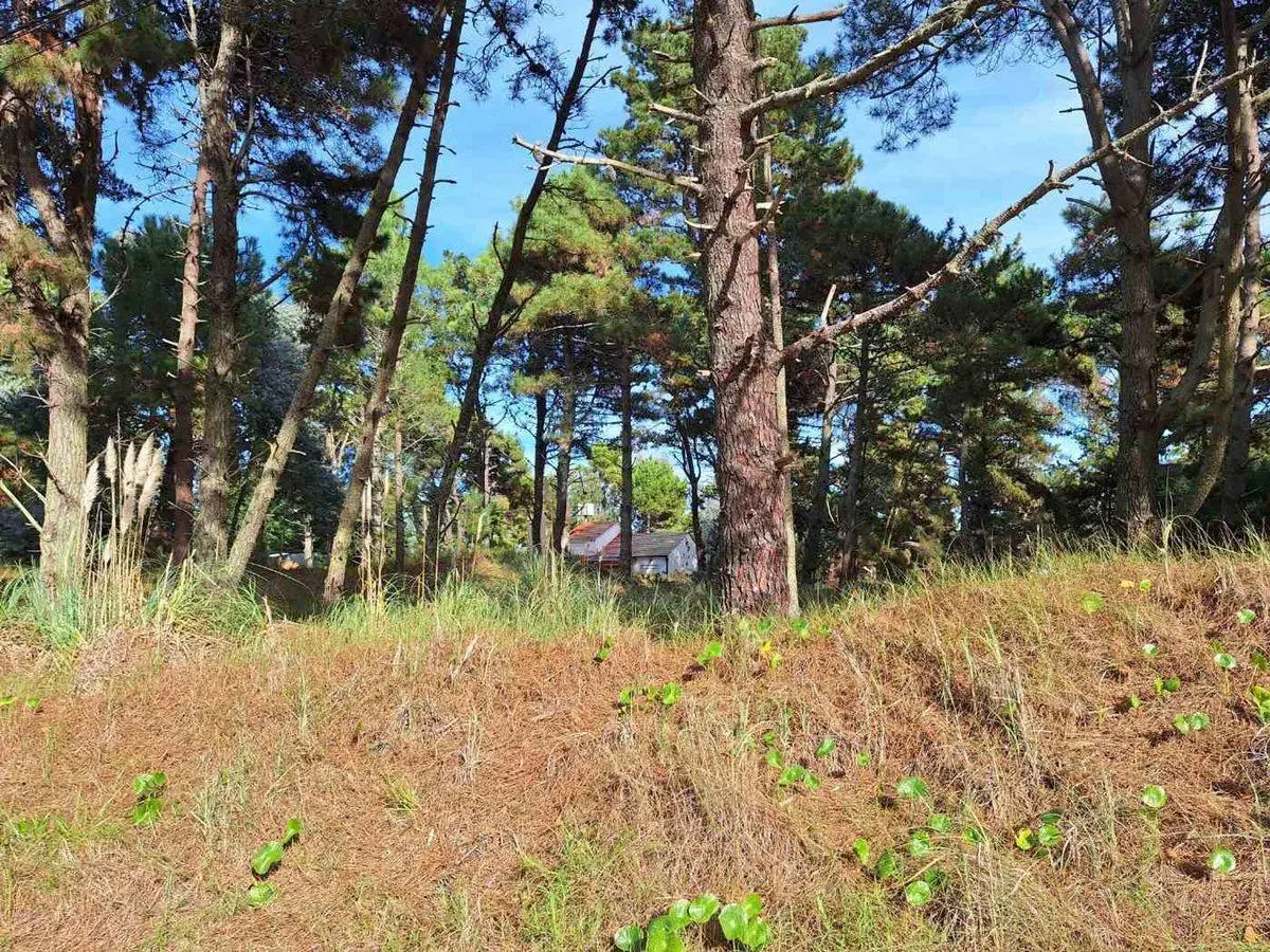LOTE VENTA COSTA DEL ESTE 664m2 5