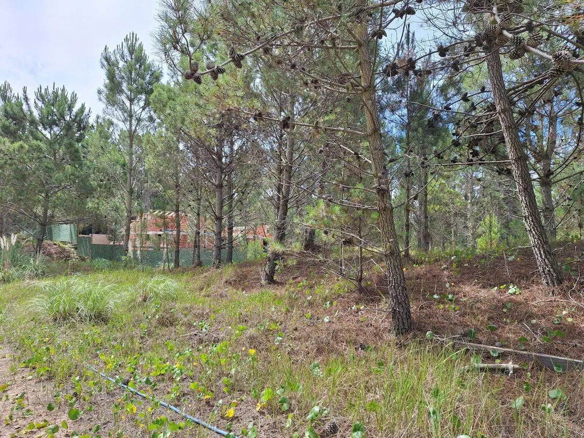 VENTA-PERMUTA TERRENO BARRIO SERENA, VILLAROBLES 3