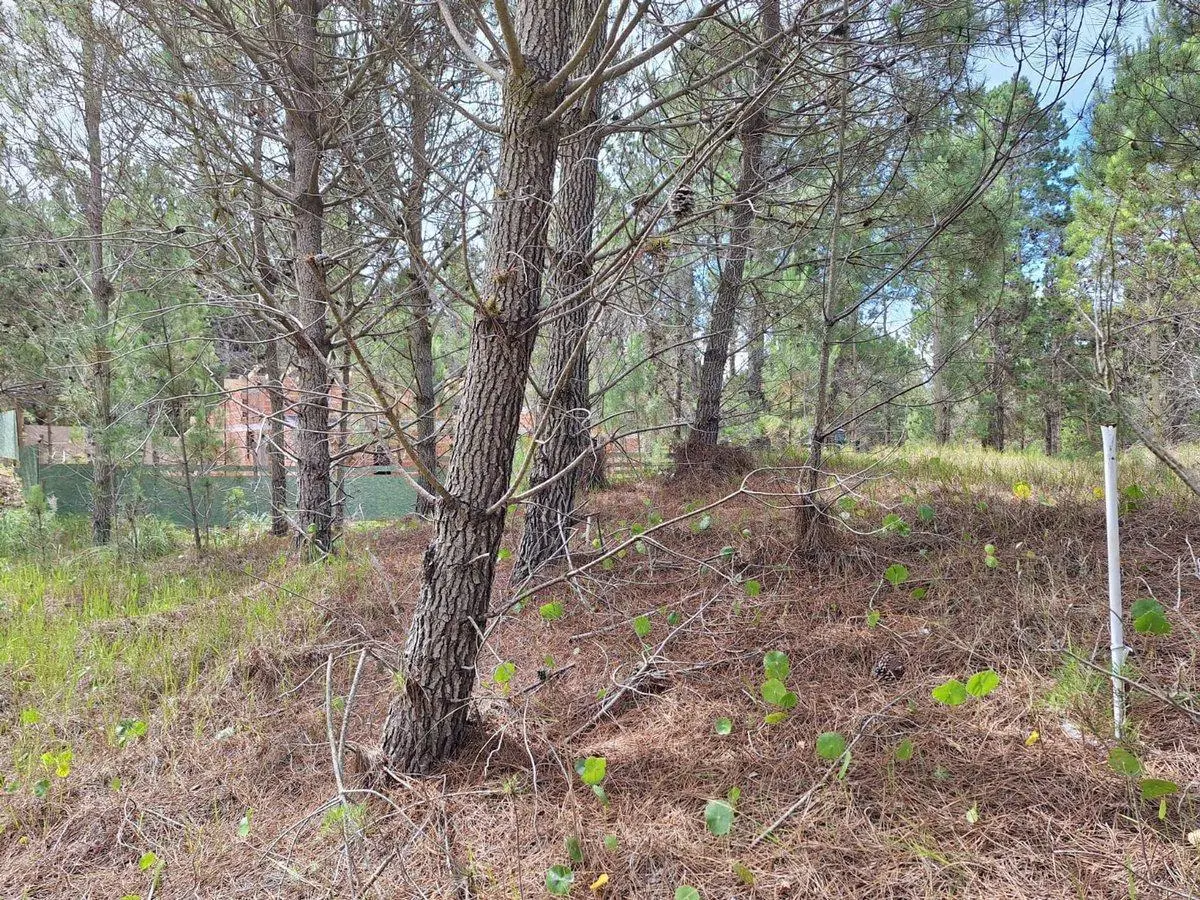 VENTA-PERMUTA TERRENO BARRIO SERENA, VILLAROBLES 2