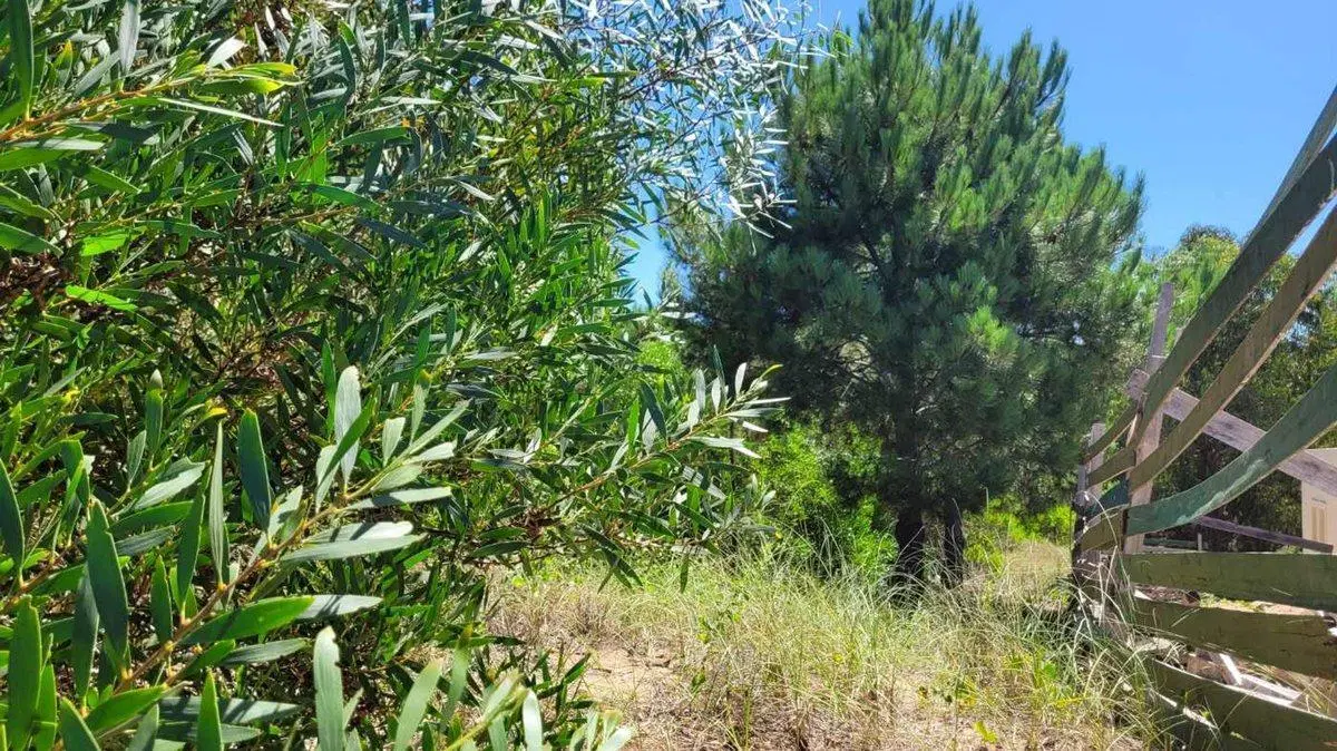 VENTA LOTE COSTA ESMERALDA FONDO LIBRE OPORTUNIDAD 2