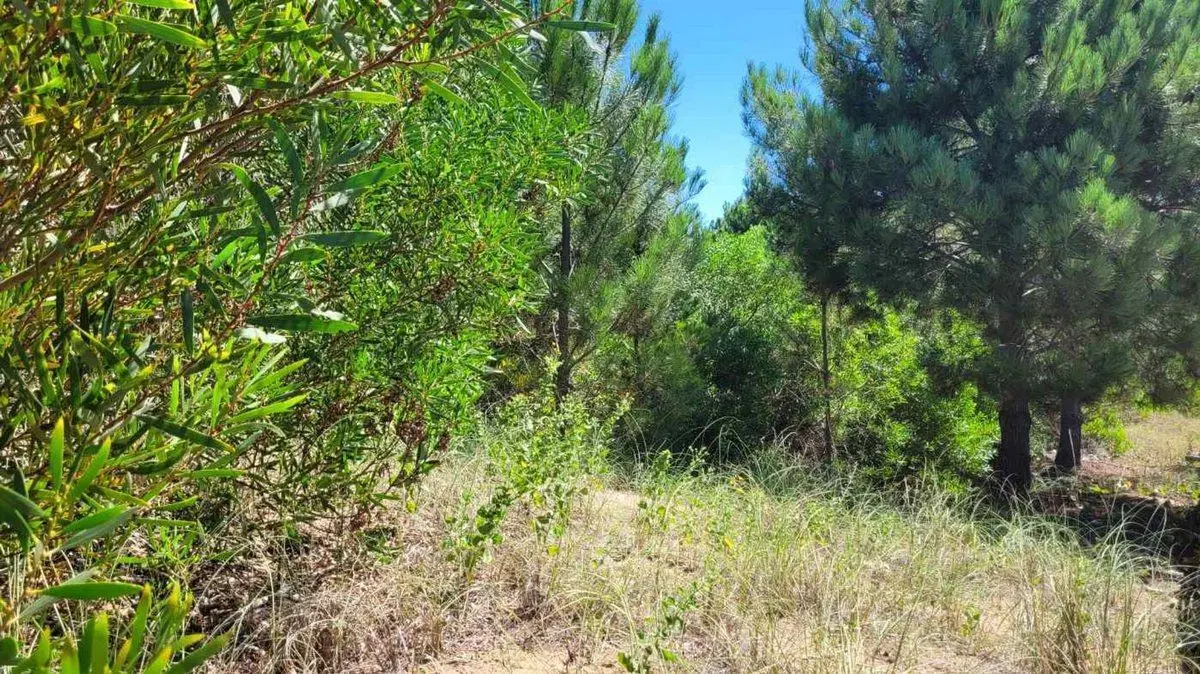 VENTA LOTE COSTA ESMERALDA FONDO LIBRE OPORTUNIDAD 8
