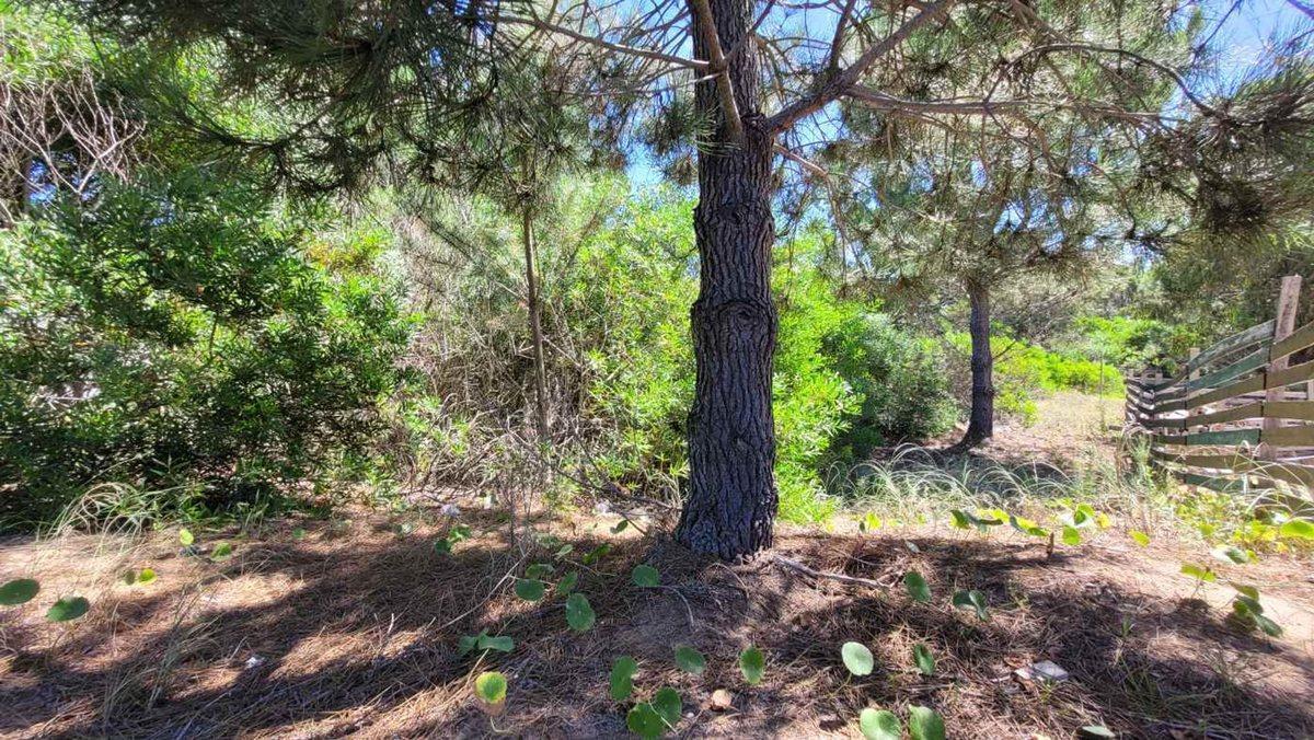 VENTA LOTE COSTA ESMERALDA FONDO LIBRE OPORTUNIDAD