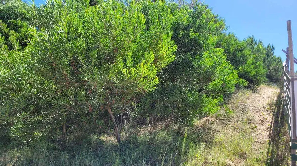 VENTA LOTE COSTA ESMERALDA FONDO LIBRE OPORTUNIDAD 3