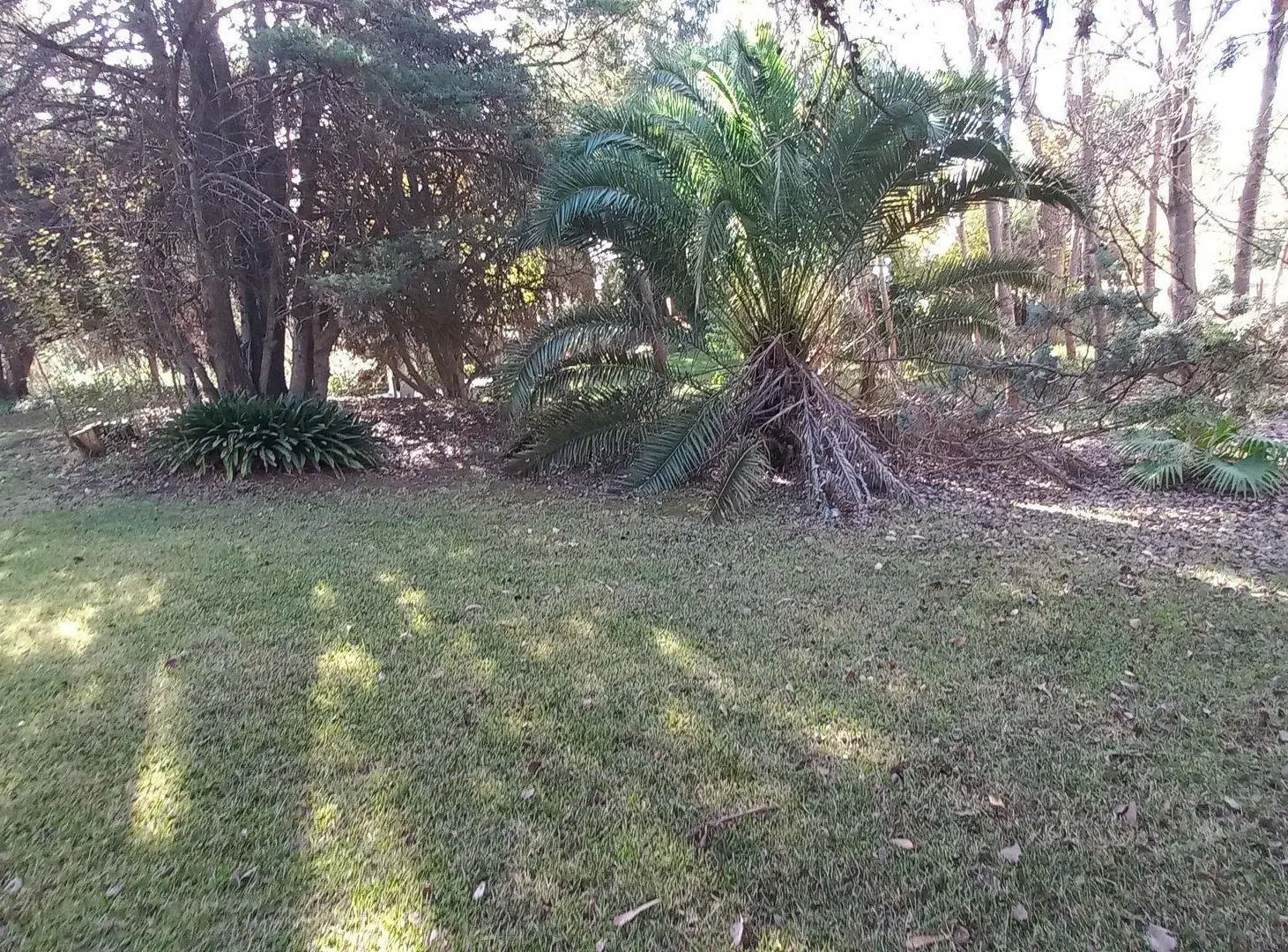LOTE VENTA EN CARILO SOBRE AVENIDA DIVISADERO 4