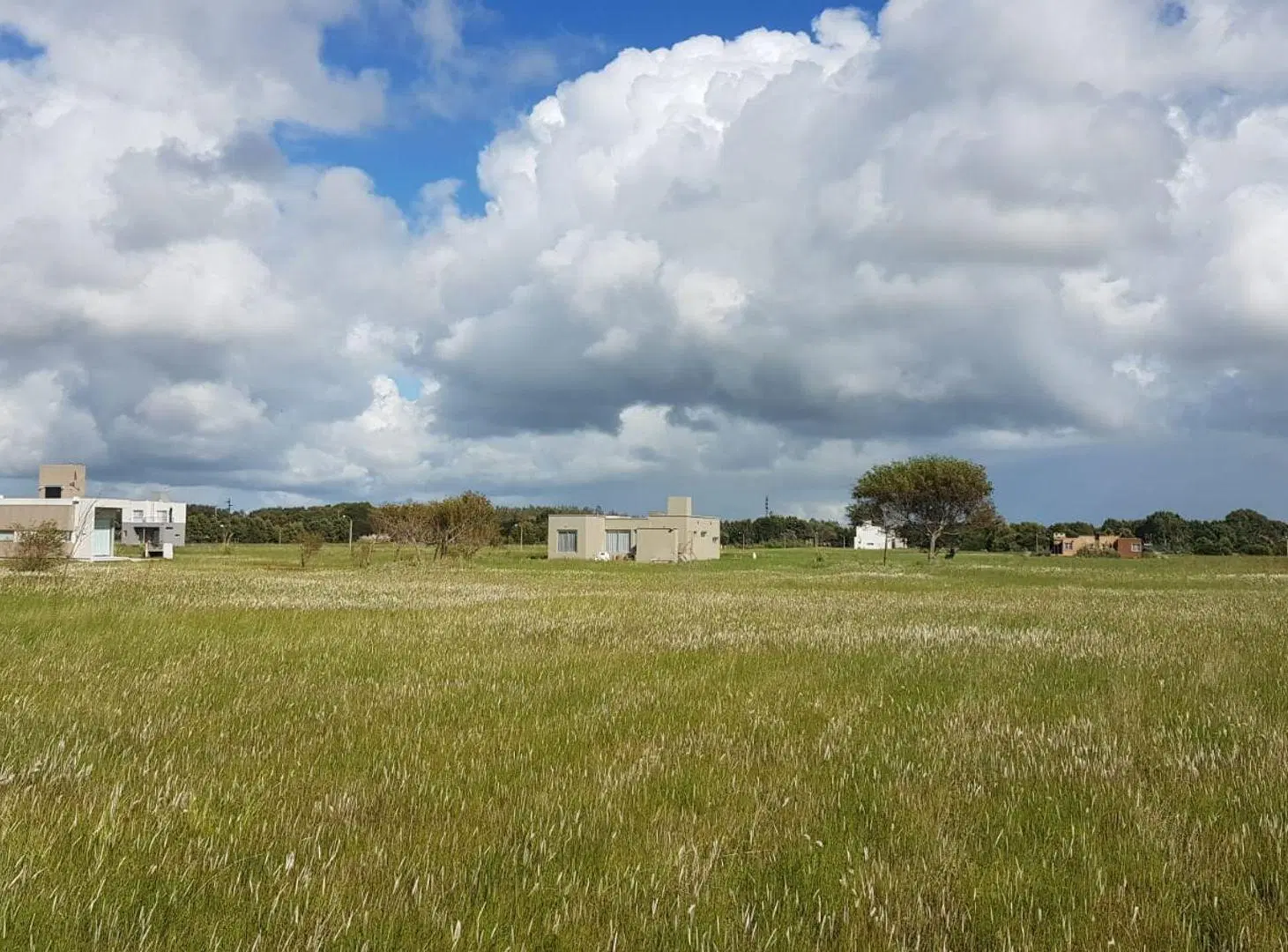 LOTES EN VENTA  EN KM 314 3
