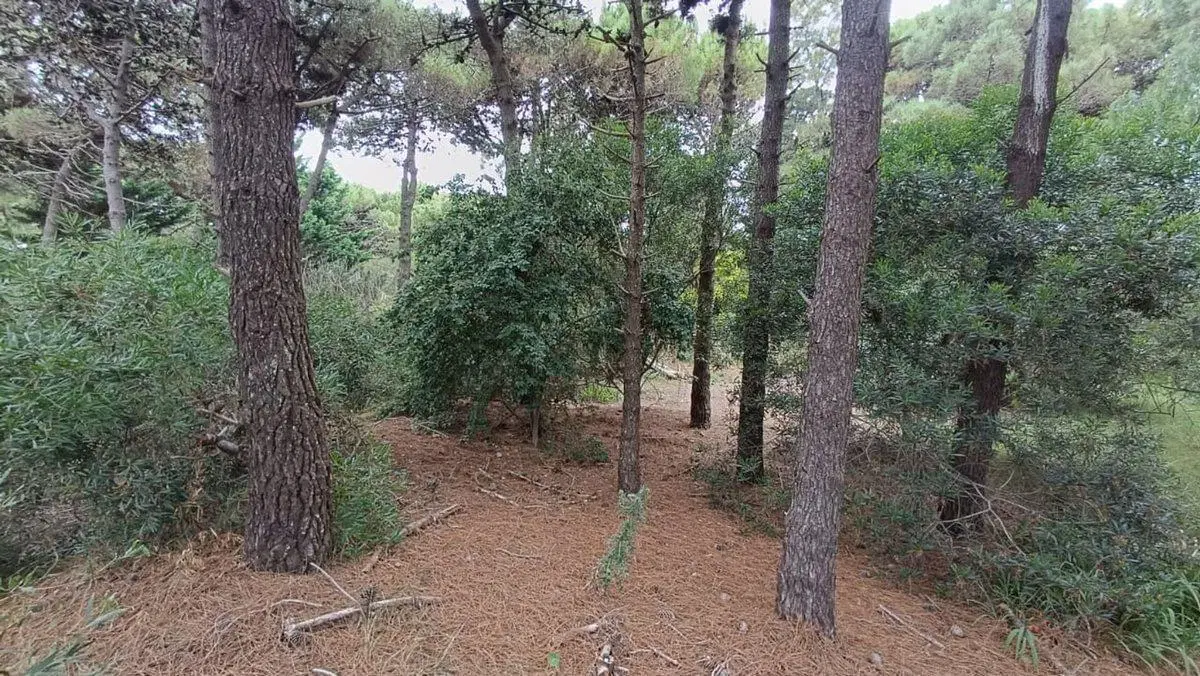 VENTA LOTE PINAMAR 2