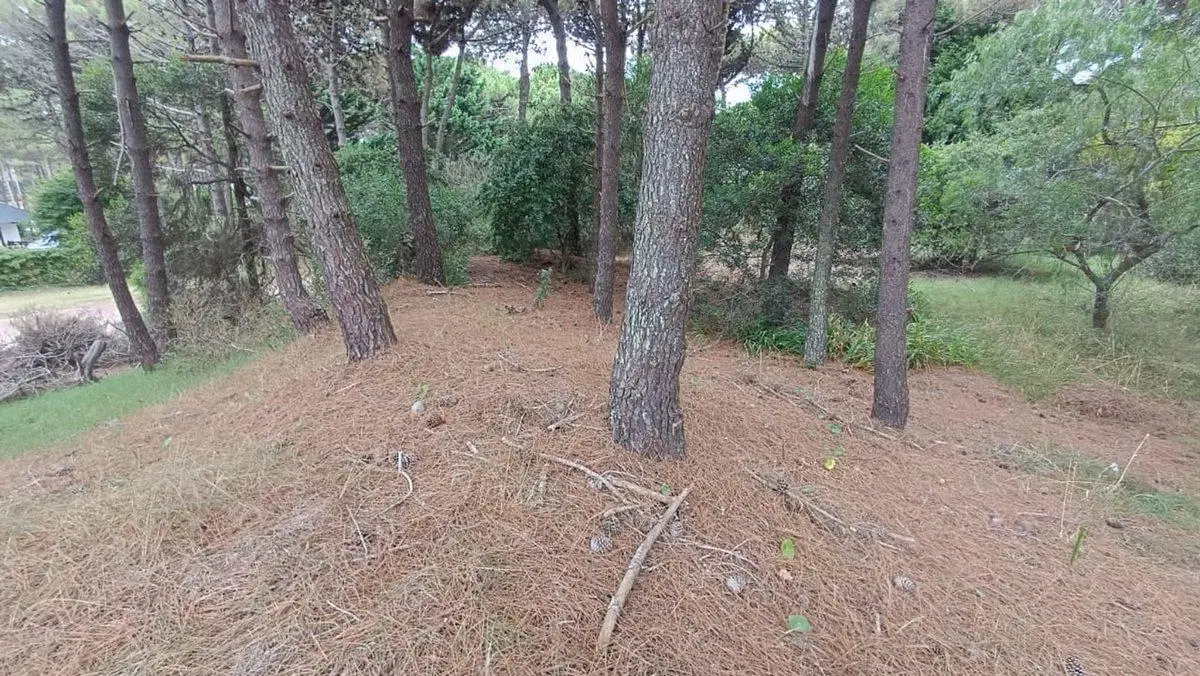 VENTA LOTE PINAMAR 4